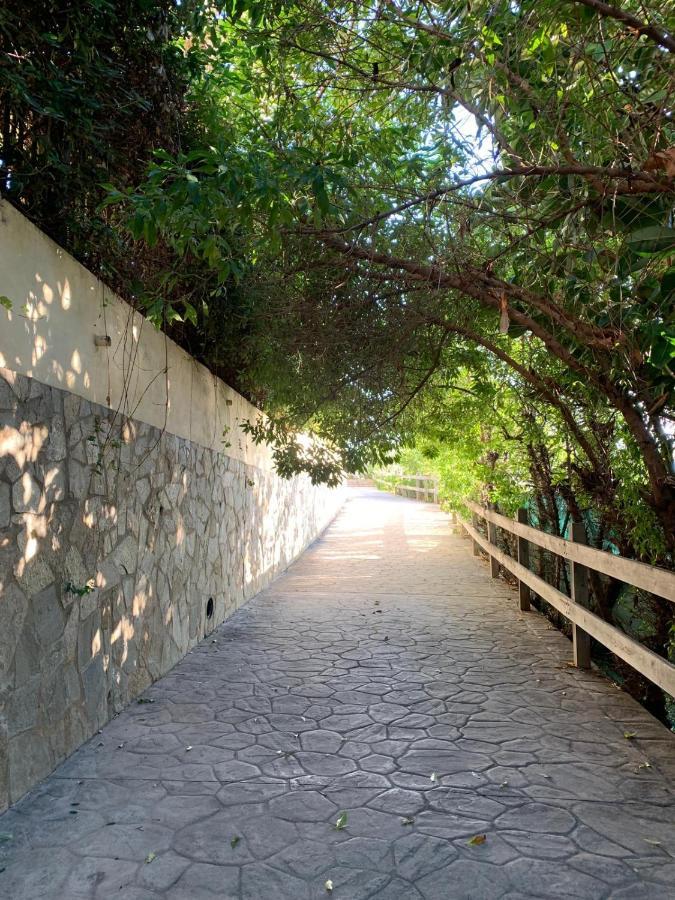 Piso En Zona Tranquila De - Torrequebrada Golf Lejlighed Benalmádena Eksteriør billede